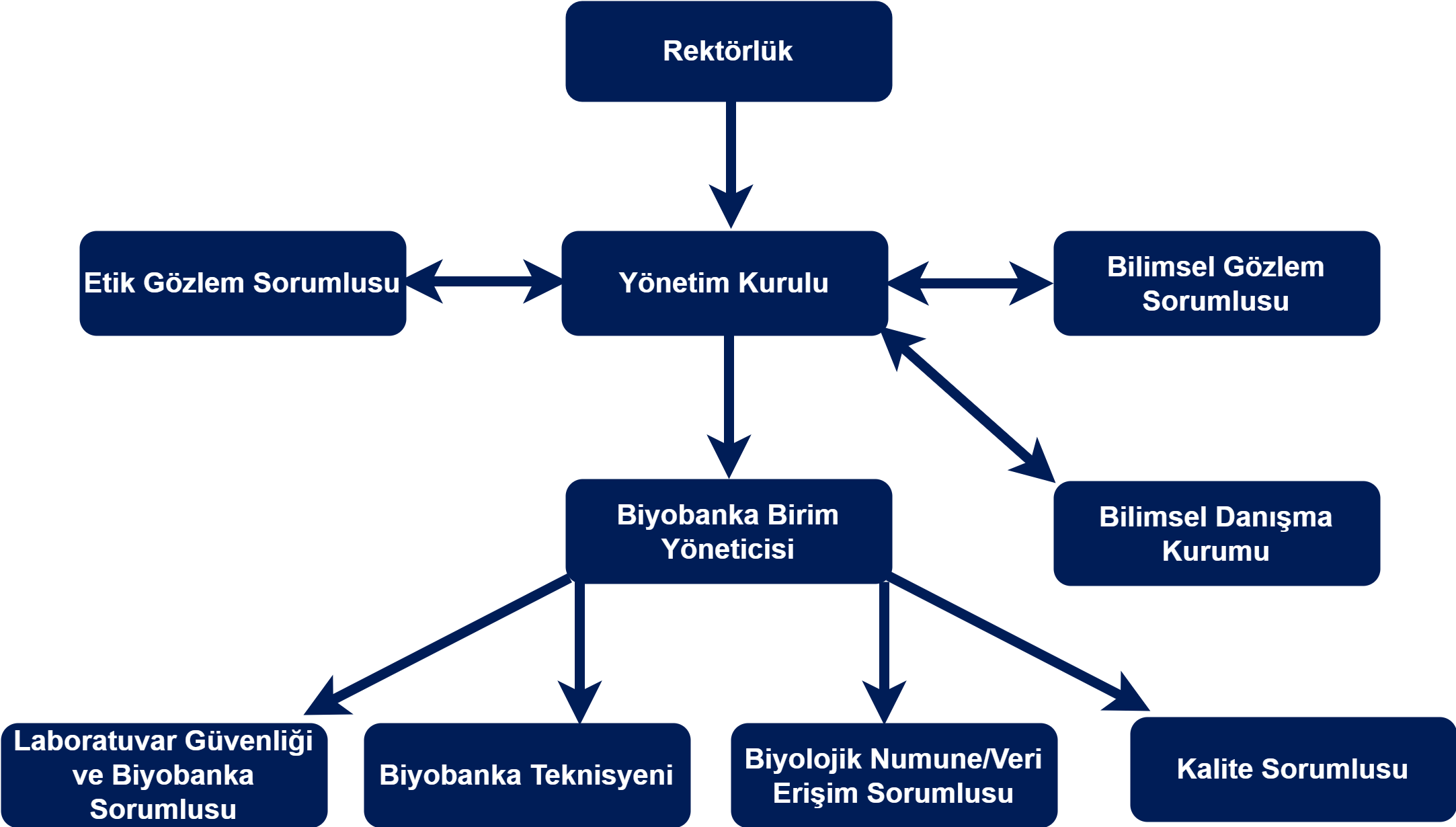 Organizasyon Şeması