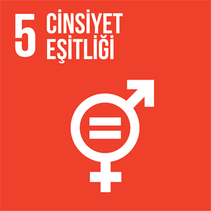  CİNSİYET EŞİTLİĞİ