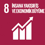  İNSANA YAKIŞIR İŞ VE EKONOMİK BÜYÜME