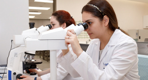 Pathology Laboratory