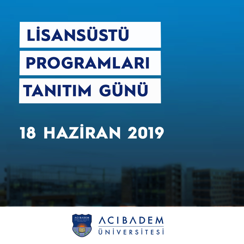lisansustu