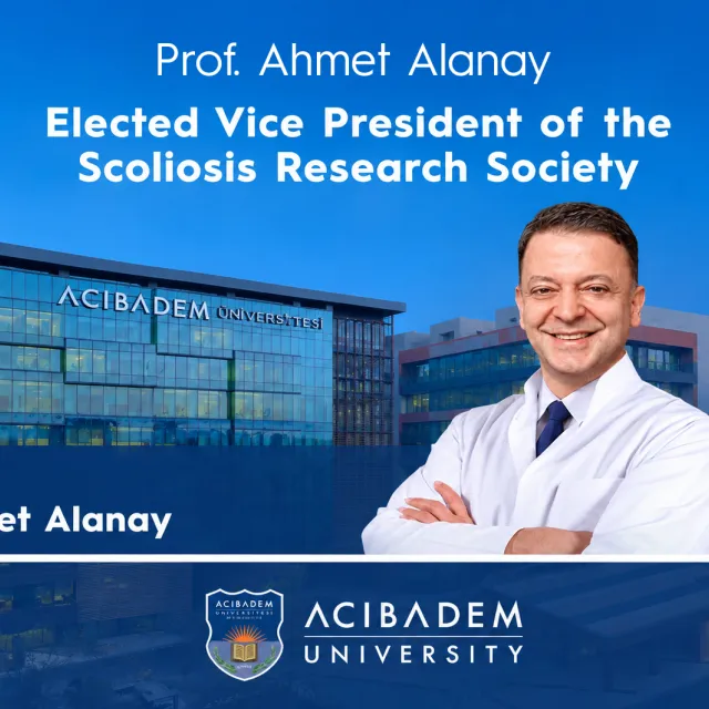 ahmet alanay - english