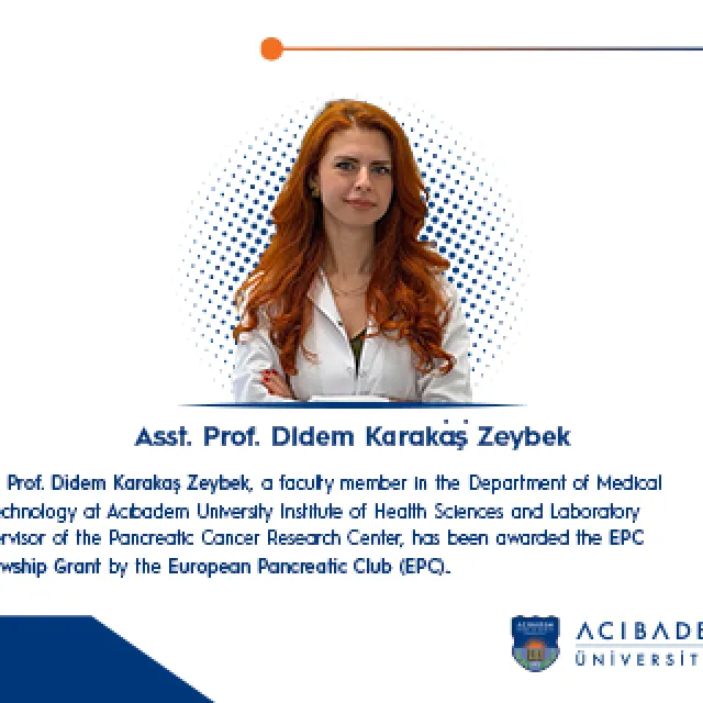 didem karakaş zeybek en