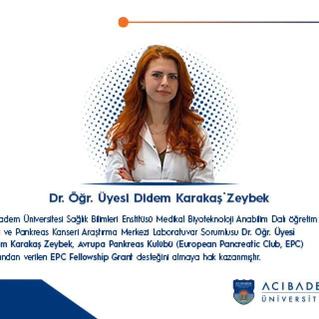 didem karakaş zeybek tr