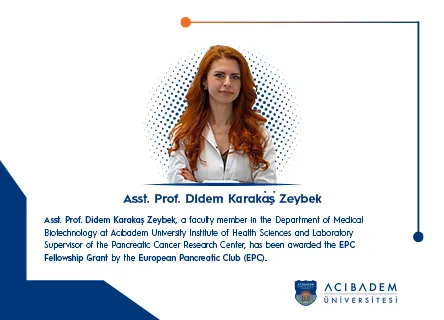 didem karakaş zeybek en
