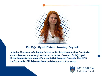 didem karakaş zeybek tr