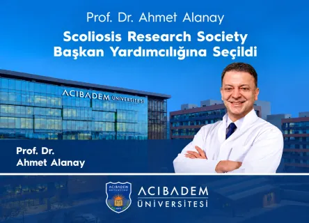 ahmet alanay 