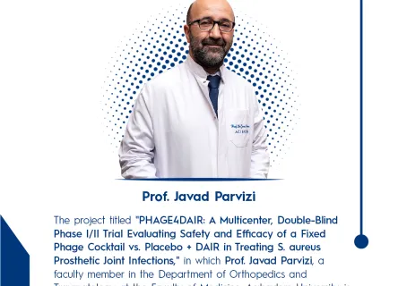 parvizi en
