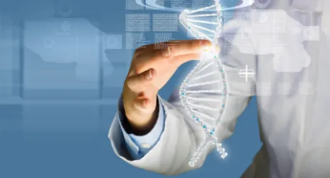 Doctoral Programs