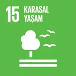  KARASAL YAŞAM