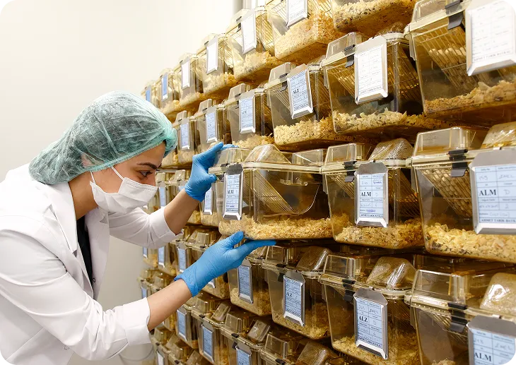 Ar-Ge Laboratuvarları