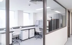 dasdas