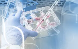 Biomedical Engineering