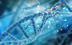 Molecular Biology and Genetics