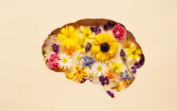 Psychology (English)