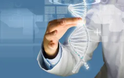 Doctoral Programs