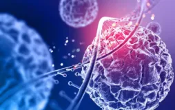 Moleküler Biyoloji ve Genetik