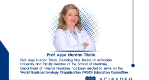 ayse nurdan tozun