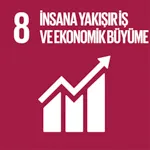  İNSANA YAKIŞIR İŞ VE EKONOMİK BÜYÜME